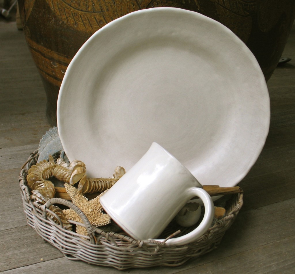 New dinnerware for 2015. Food looks beautiful on these.